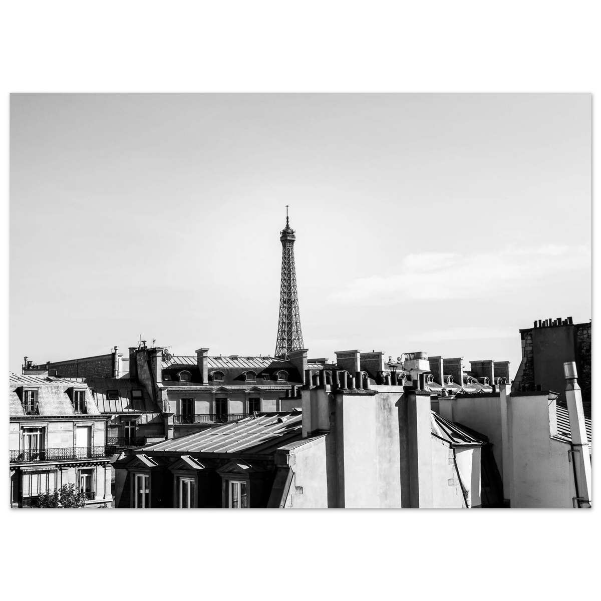 220829cc-e894-46fe-ae01-394951601c3c